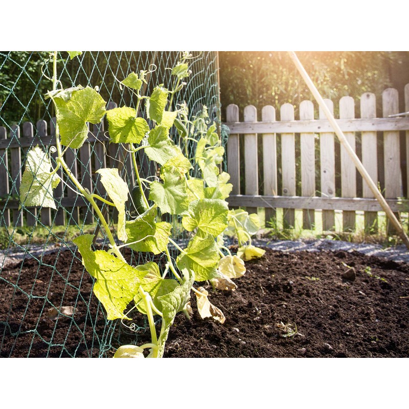 Windhager Trellis Net for the Perfect Growth of Cucumbers, Tomatoes