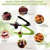 Cherry and Olive Pitter Tool, 2 Pcs Fruit Stone Remover,
