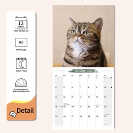 Wall Calendar 2026 Planner Calendar - Cat Memes Hangable Monthly Wall Calendar with Large Blocks for Organizing & Planning, Academic Schedule, Home, Office & family, Thick & Sturdy Paper (12"x24" Open)