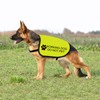 Do Not Pet Dog Safety Vest - Large