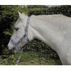 Rhinegold Unisex's Carnival Headcollar & Rope, Blue Check, Full