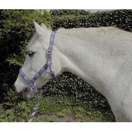Rhinegold Unisex's Carnival Headcollar & Rope, Blue Check, Full