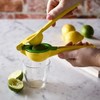 Lakeland Simple Squeeze Action Citrus Juicer - Easy to Use!