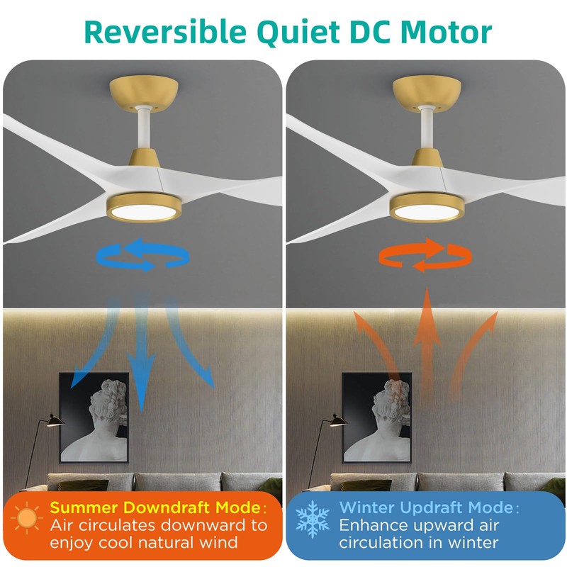 Roomratv Ceiling Fans with Lights,Large Airflow 52inch Modern Ceiling Fan