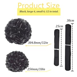 Ruidee 12 Pieces Tissue Paper Pompoms 10in and 12in Hanging Tissue Flowers Decorations Colour Paper Flower Ball Paper Flowers Pom Poms for Party Wedding Decoration (ZH/Black)