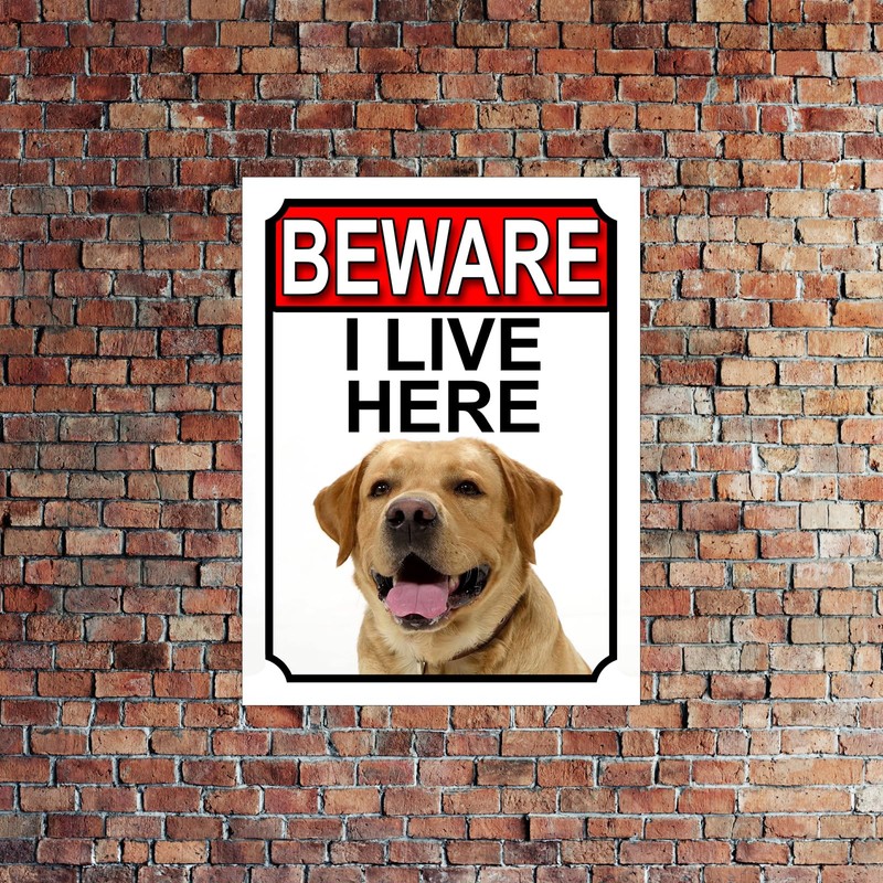 BEWARE I LIVE HERE METAL GATE SIGN YELLOW LABRADOR 200MM