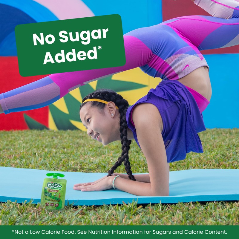 GoGo squeeZ Organic Applesauce and Fruit Puree, Apple Apple, 3.2