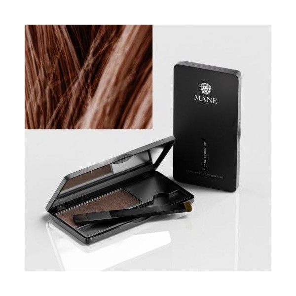 Mane Hair Touch Up to Cover Roots, Conceal Bald Spots,