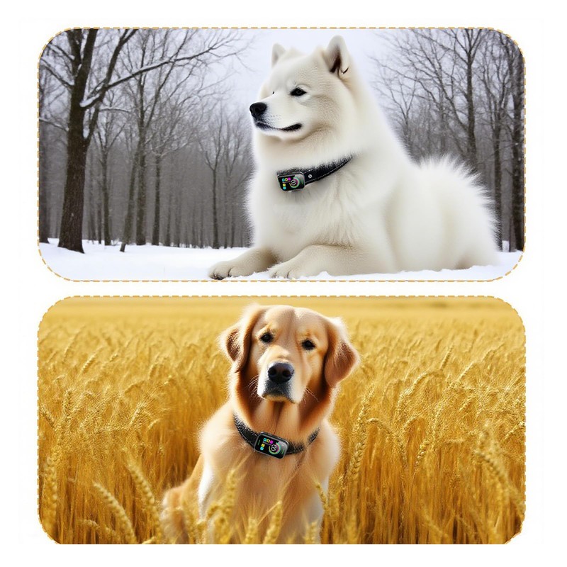 Dog Collar Replacement Strap,Replacement Collar for Training Shock Collar Reflective