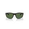 ARNETTE Sunglasses AN 4351 29672P Transp Grey Matte/Shiny/Polar Green Policarb