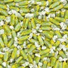 Fruidles Tootsie Roll Original Lemon Lime Twist Midgees, Peanut-Free, Gluten-Free,