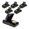 T stdclass Mouse Trap Set of 6 Mouse Traps -