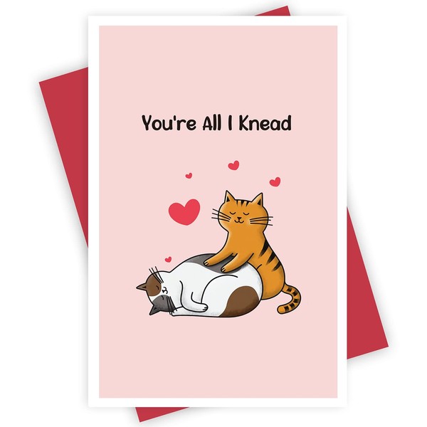 Cute Cat Love Card Pun Anniversary Card for Him Her,