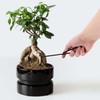 BambooMN Bonsai 2pc Set - 9" Root Pick and 9"