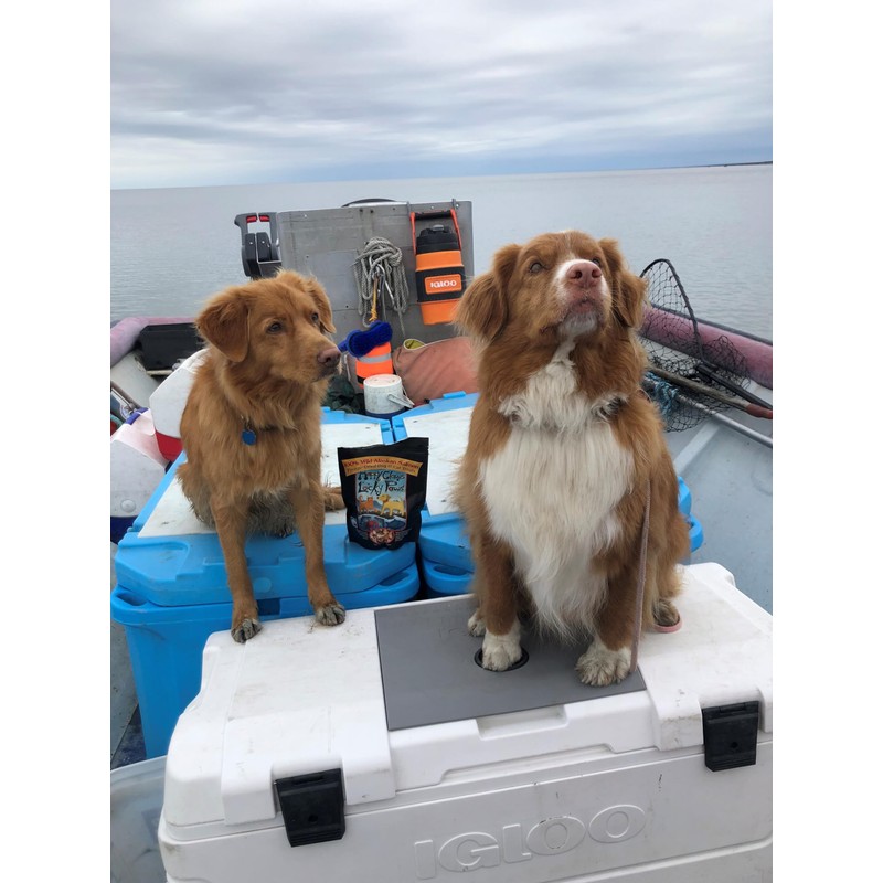 Freeze-Dried Wild Alaskan Salmon Treats for Dogs and Cats (2.5