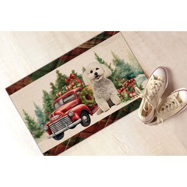kobalo Christmas Bichon Frise with Red Car Mat to Dogs Lover Home Floor Bath 16 x 24 Inch Indoor Outdoor Doormats Gift for Pet Mom Dad Son Daughter Men Women Family Friends