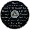 Simply Minimal AA 60 Days Silver Color Plated Coin, Alcoholics