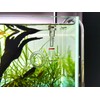 JARDLI Glass Lily Pipe Spin Outflow with Surface Skimmer for