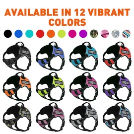 Dogline Quest No-Pull Dog Harness with Service Dog Reflective Removable Patches Soft Comfortable Dog Vest with Quick Release Dual Buckles Black Hardware and Handle 18 to 22 inches Aztec