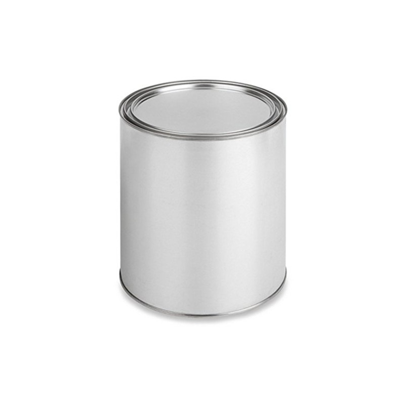 Empty Quart Paint Cans with Lids (2 Pack) Empty Metal