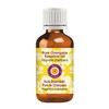 Deve Herbes Pure Champaca Essential Oil (Magnolia champaca) Steam Distilled