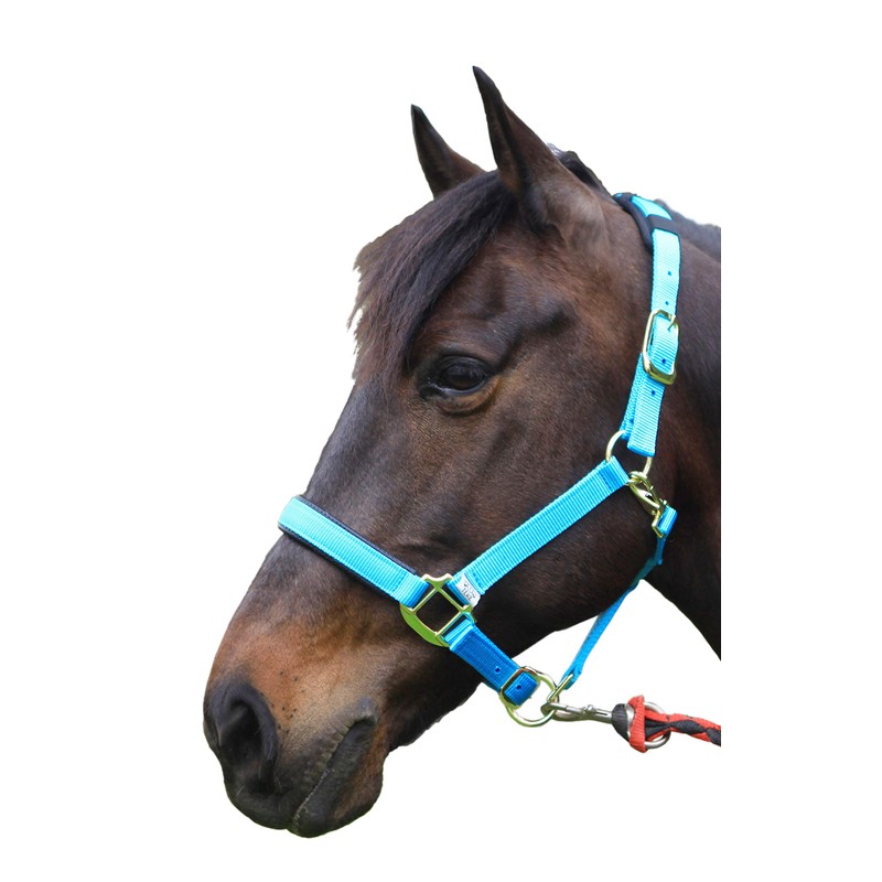 T TEKE Adjustable Horse Halters by Heavy Duty Soft Nylon,