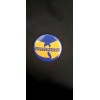 The Wu Tang Warriors Pin