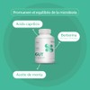 nutriADN – GUT SUPPORT – Suplemento Intestinal 90 Cápsulas |
