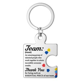 DRMNPKT Team Appreciation Gifts for Coworkers Employees Colleagues, Thank You Keychain for Team Staff Teachers Volunteer, Inspirational Teamwork Presents Office Gift Puzzle Piece Metal Keychains