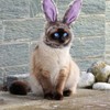 Rabbit Ears Costume, Costume for Cats, Cat Clothes (Purple)