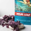 POWER SUPER FOODS Dulse Leaf "The Origin Series" - 20g