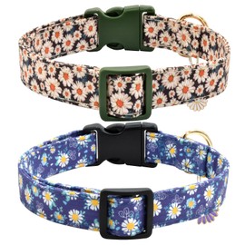 Flower Patterns Dog Collar with Accessories, Soft Cotton Dog Collars for Small Medium Large Female and Male Dog(Daisy&Wild Chrysanthemum M)