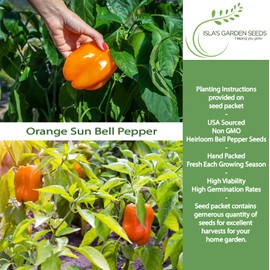Orange Sun Bell Pepper Seeds (Capsicum annuum) – 100+ Non-GMO Heirloom Seeds by Isla’s Garden Seeds, Sweet Crisp Orange Peppers, High-Yielding Warm-Season Variety, Perfect for Garden Beds & Containers