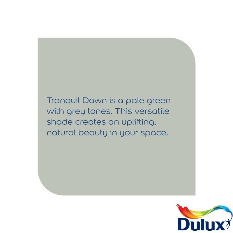Dulux Easycare Kitchen tester paint - Tranquil Dawn - 30ML