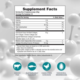 Naturesplus Collagen Creamer Non Dairy 10.58 Oz Six Types For Health And Beauty