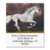 Love Horses Square Return Address Labels (6 Designs) - Set