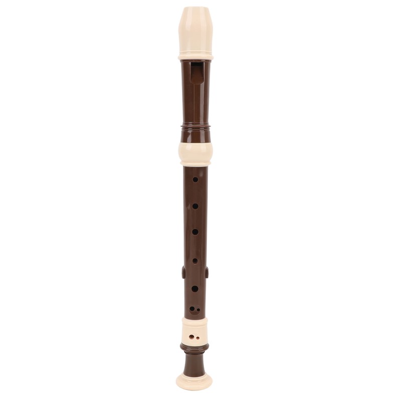 8 Hole Recorder Detachable Soprano Recorder Musical Instrument with Cleaning