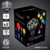 LEDimagine Fairy String Light Bulb Fairy Lights, LED Globe Fairy