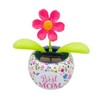 Solar Dancing Flower for Car & Desk Décor – Battery-Free