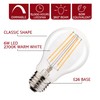Revel 6W Dimmable LED Edison Light Bulbs, 2700K Warm White,