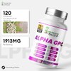 Humming Herbs Alpha GPC Complex 11-in-1 – Alpha-GPC, Lion’s Mane,