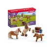 Schleich 41432 Miniature Shetland Pony Family