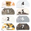 Toyo Shoshuppan 31 Cat Calendar Desk Calendar Perpetual Calendar