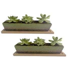 WISH HALLY WOOD 9.8inch green long rectangle Ceramic Succulent Planter Pots,2 set of Mini Flower Plant Containers with Bamboo Saucers. Product size:9.8x2.35x1.77inch,not include The plant. (Green)