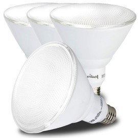 AmeriLuck 150W Equivalent PAR38 LED Outdoor Flood Light Bulb, 16W Dimmable (5000K Daylight, 4 Pack)