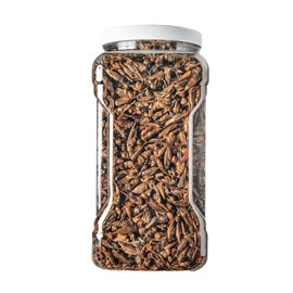 Aquatic Foods Inc. Crickets - Freeze Dried Crickets for Tropical Fish, Reptiles, Turtles, Tortoises Frogs, Hamsters, Birds, Rodents…2oz Small Jar