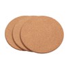 Set of 3 Round Cork Coasters 16cm x 1cm