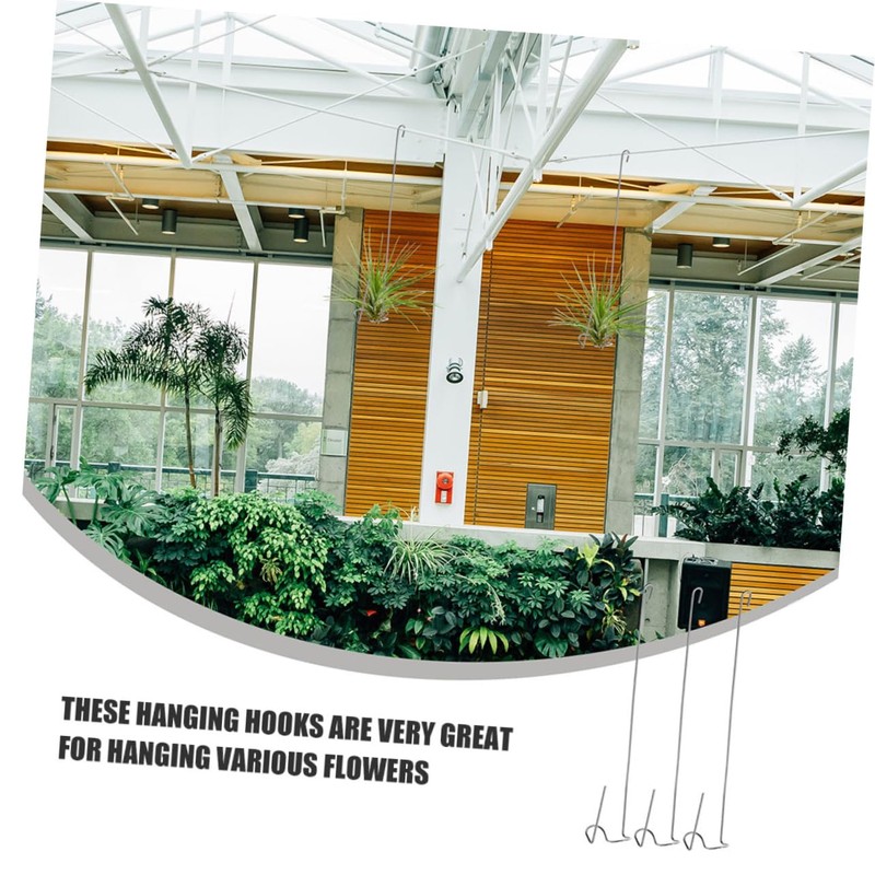 BESPORTBLE 3pcs Air Plant Holders Practical Tillandsia Hanging Hooks for