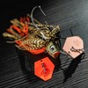 LMAB Chatterbait Multi Vibe 2.0 - Hook Size 1/0 &