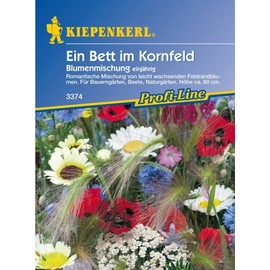 Flowers Mix A Bed in the Cornfield